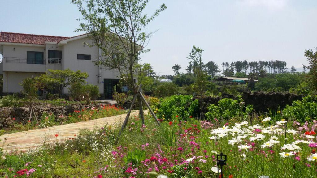 济州市Baghdad House别墅 外观 照片